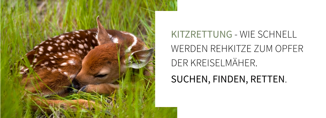 Kitzrettung - Wie schnell werden Rehkitze zum opfer der kreiselmäher.  Suchen, finden, retten.
