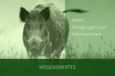 Wissenswertes Ideen,Anregungen undInformationen