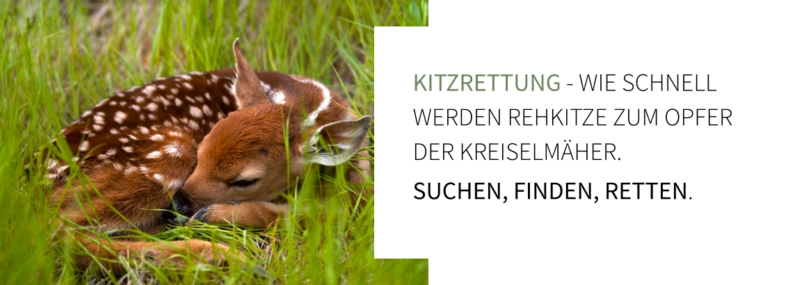 Kitzrettung - Wie schnell werden Rehkitze zum opfer der kreiselmäher.  Suchen, finden, retten.